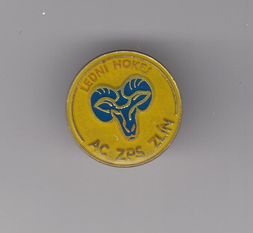 Eishockey pin ledni hockey - eishockey,
